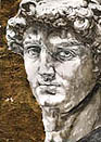 David